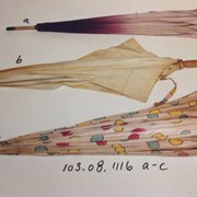 Cover image of  Umbrella
